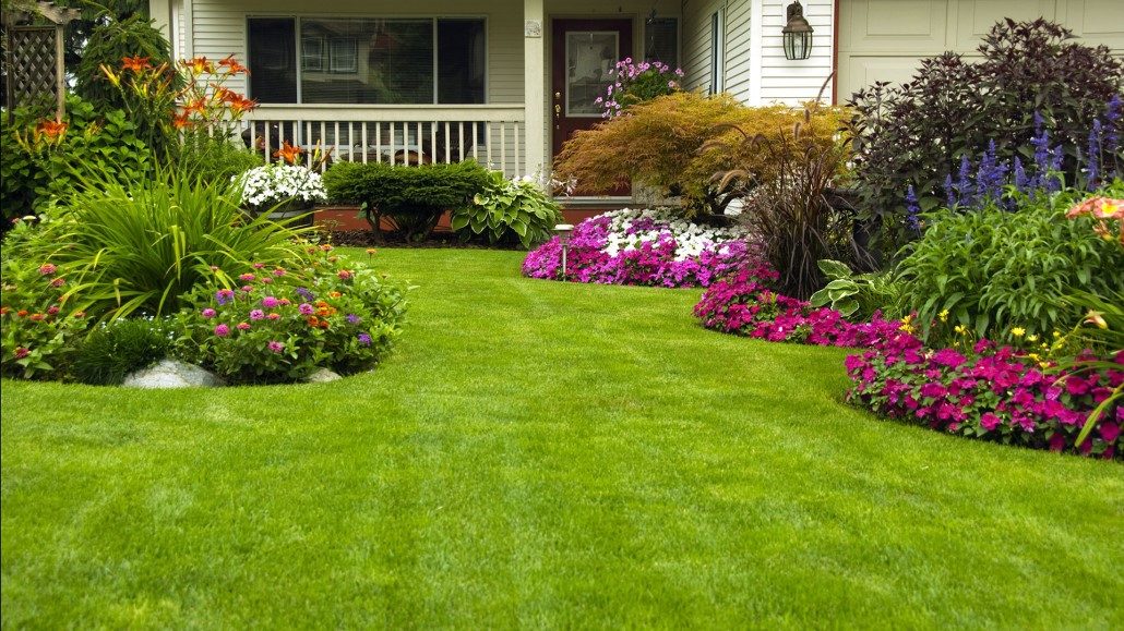 lawn care mn